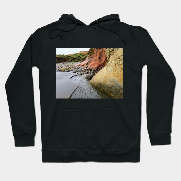 Oregon Coast Hoodie by CAutumnTrapp